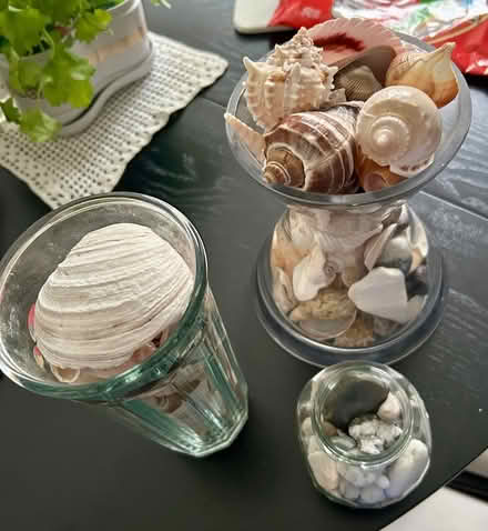 Photo of free Seashells and beach pebbles (Stapleford NG9)