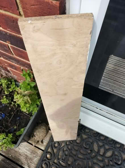 Photo of free Wood (TN37 Hastings) #2