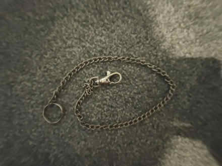 Photo of free Metal key chain (SG6) #2