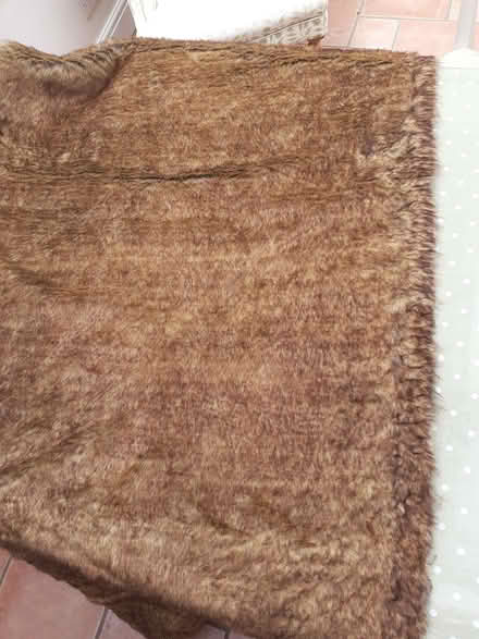 Photo of free Faux Fur (fake) (Lightwater Ward GU18) #1