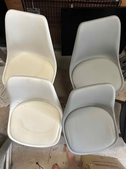 Photo of free 4 chairs (Frome, Stonebridge) #2