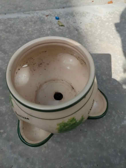 Photo of free Ceramic herb plant pot (BR6, Green Street Green) #3