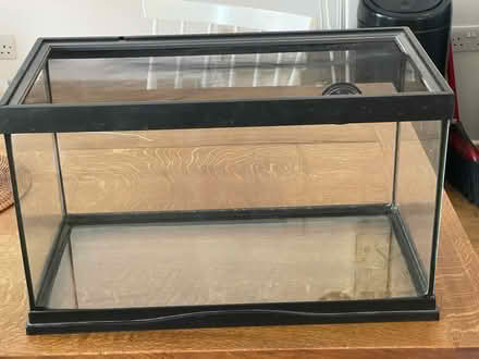 Photo of free Small glass reptile tank (Cambridge Heath, E2) #3