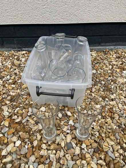 Photo of free Beer type Glasses (Ferndown BH22) #1