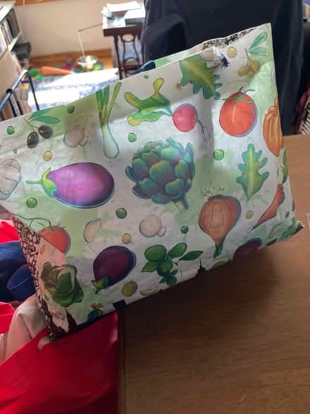 Photo of free Reusable Bags (Bay Ridge) #1