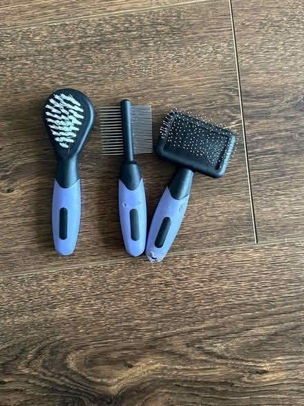 Photo of free small animal grooming brushes (Birmingham Tyseley B11) #1