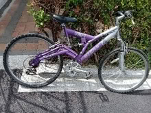 Photo of free Raleigh Girls Bike (Dublin south side) #1