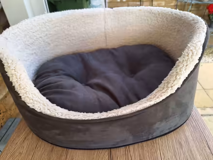 Photo of free Dog Bed (Wendover HP22) #1