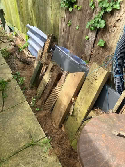 Photo of free Firewood (Raynes Park , london) #2