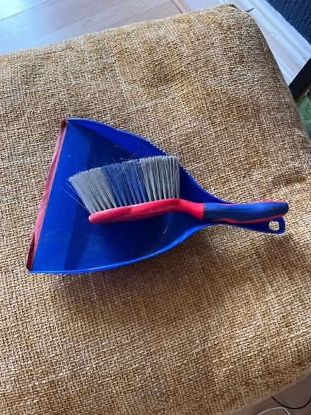 Photo of free Dust pan and brush (M21) #1