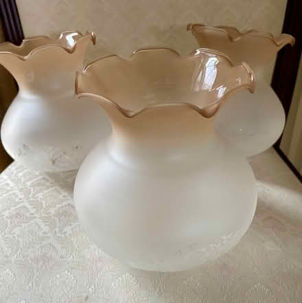 Photo of free Glass light shades x6 (Bollington SK10) #2