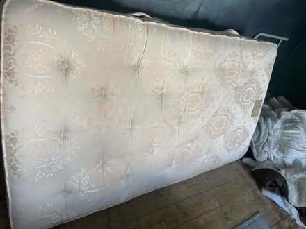 Photo of free Single mattress (SE6) #1