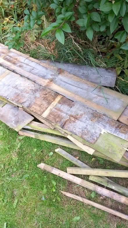 Photo of free Pile of wood from fence (LS15 Cross Gates)