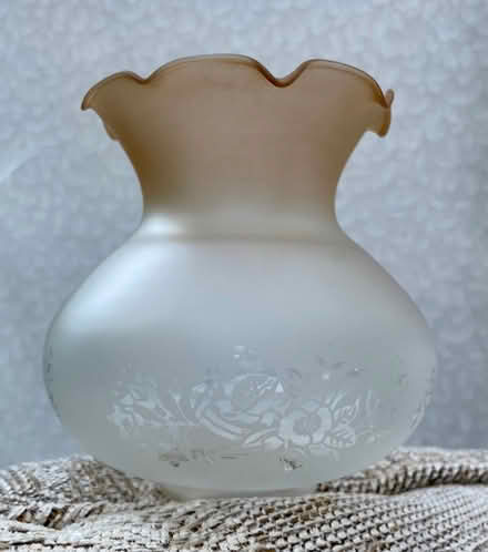 Photo of free Glass light shades x6 (Bollington SK10) #1