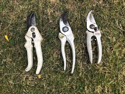 Photo of free Secateurs (RG6 Earley) #1
