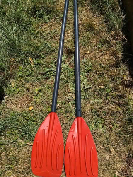Photo of free Plastic paddles for small boat (Ballard) #1