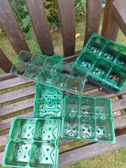Photo of free Plastic seed/plant cells (Hillcliffe WA4) #1