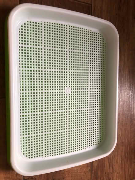 Photo of free Seed sprouted trays (BN2) #1