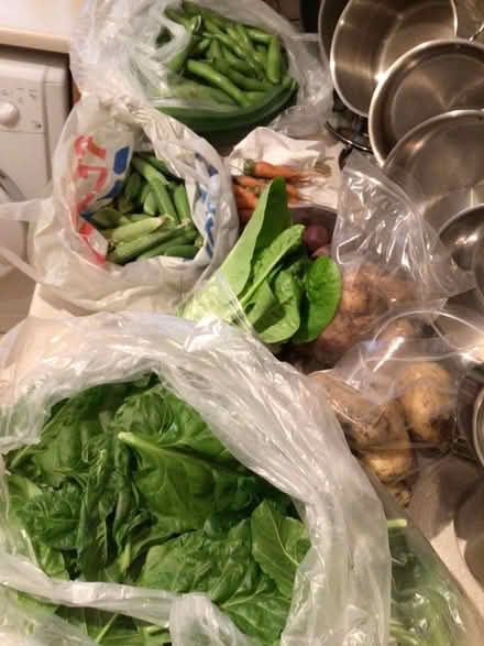 Photo of free Garden produce (Hyde Park LS6) #1