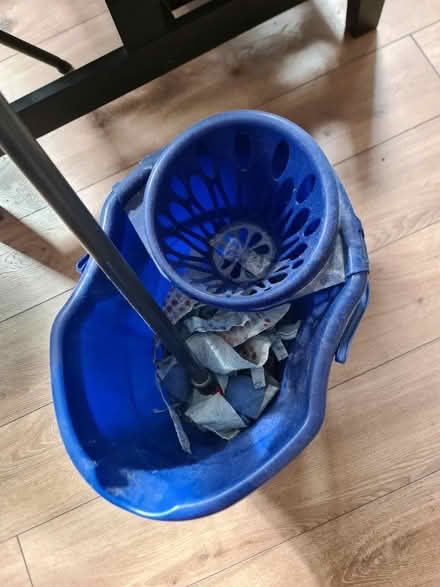 Photo of free Mop and Bucket (Peckham SE15) #3