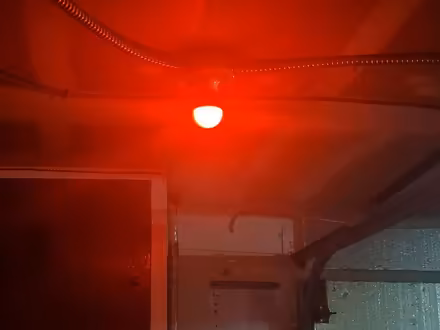 Photo of free 2x Red LED light bulbs, 40W equiv (South Bellevue) #1
