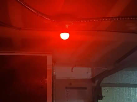 Photo of free 2x Red LED light bulbs, 40W equiv (South Bellevue) #1