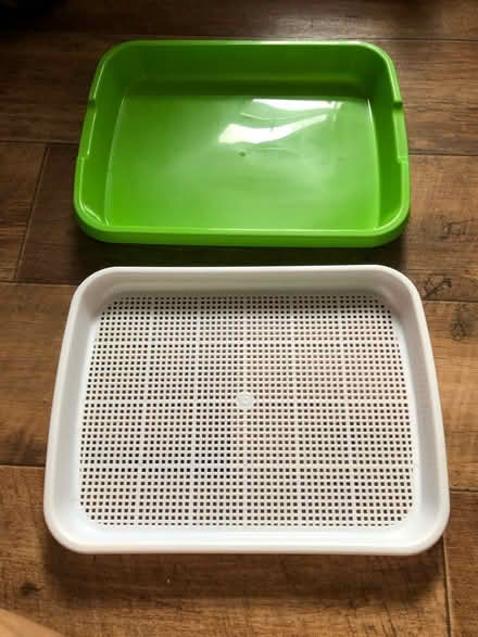 Photo of free Seed sprouted trays (BN2) #2