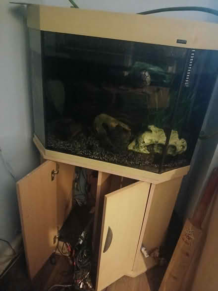 Photo of free Aquarium fish tank (Wokingham) #1