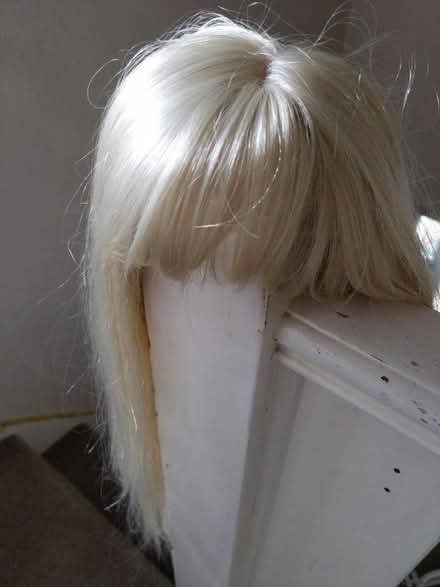 Photo of free Long blonde wig (Nailsea BS48) #1