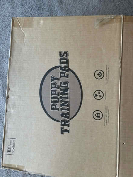 Photo of free Puppy training pads (Leigh on sea) #2