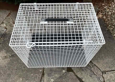 Photo of free Animal Carrier (Near Evercreech BA4) #1