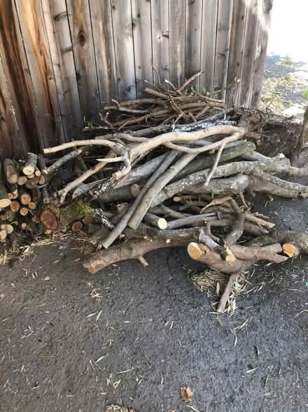 Photo of free Pots, bookcase, closet, wood (Sebastopol south Main Street) #2