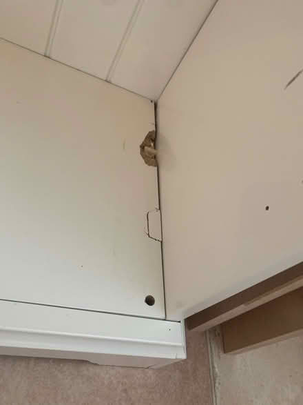 Photo of free Tall cream Book Shelf (Henley-On-Thames RG9) #3