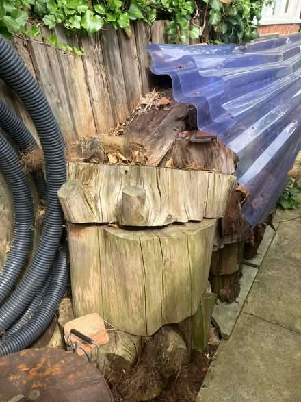 Photo of free Firewood (Raynes Park , london) #3