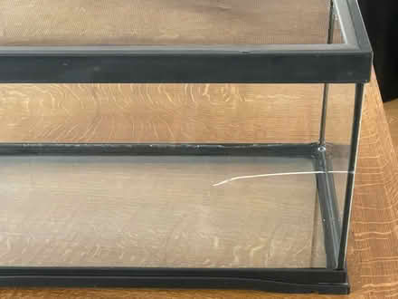 Photo of free Small glass reptile tank (Cambridge Heath, E2) #2