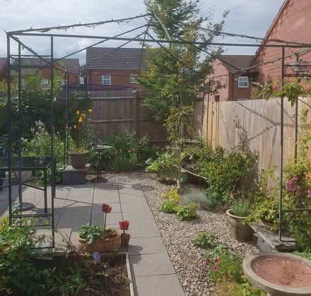 Photo of free Large Metal Garden Gazebo (Warwick CV34 6) #2