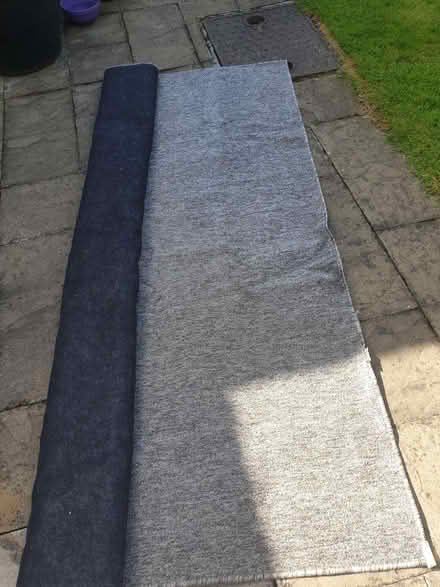 Photo of free Large area rug (Ne10 0ta) #1