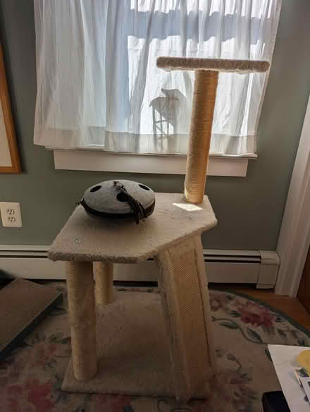 Photo of free Cat tree and busy toy (Souderton) #1
