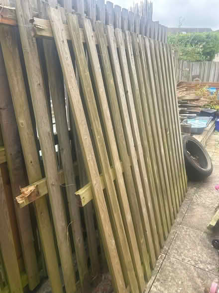 Photo of free Fence panels (Bath BA2) #1