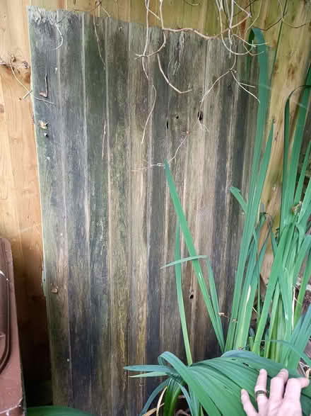 Photo of free Fence section (Wantage OX12) #1