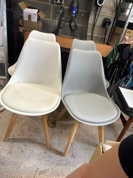 Photo of free 4 chairs (Frome, Stonebridge) #1