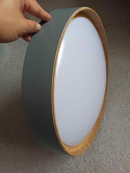 Photo of free Ceiling light x2 (OX3 Wood Farm) #2