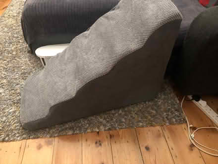 Photo of free Brand new Pet ramp (Royal Standard SE3) #2