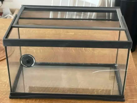 Photo of free Small glass reptile tank (Cambridge Heath, E2) #1