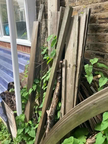 Photo of free Firewood (Raynes Park , london) #1