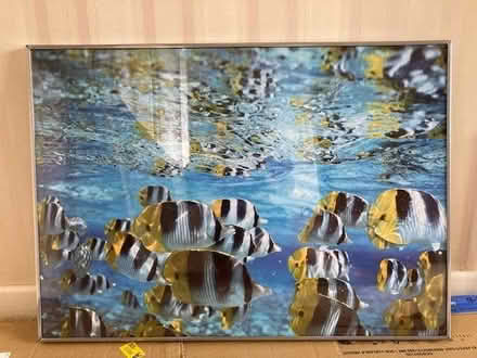 Photo of free IKEA Reslig matt chrome frame with print (Wilmslow SK9) #1