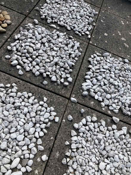 Photo of free Garden Pebbles (GMV SE10) #4