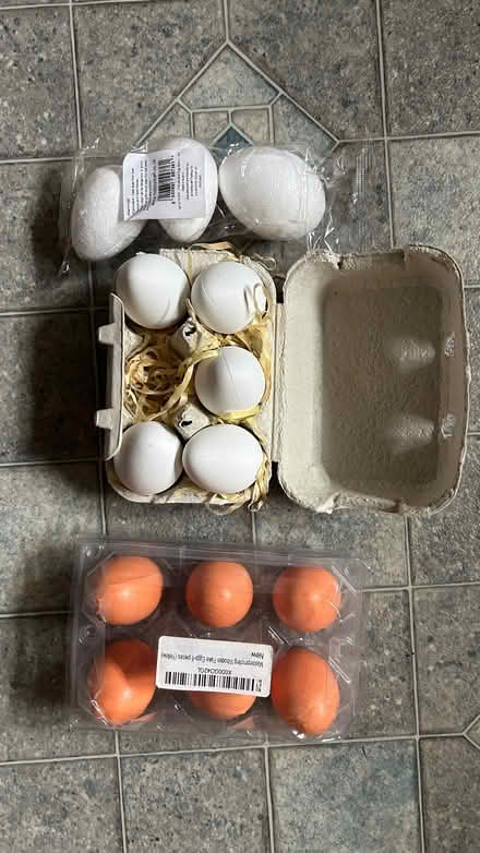 Photo of free Fake craft eggs (Kenilworth CV8) #1