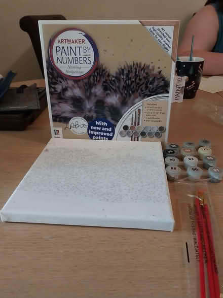 Photo of free Painting By Numbers (CT6) #1