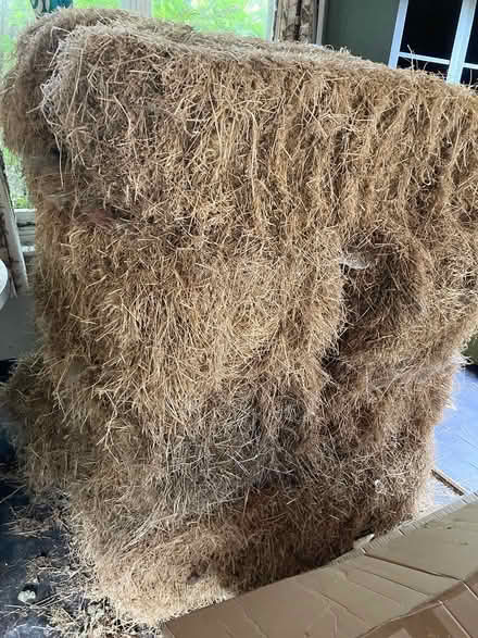 Photo of free 8 Straw bales (GL6 Minchinhampton) #1
